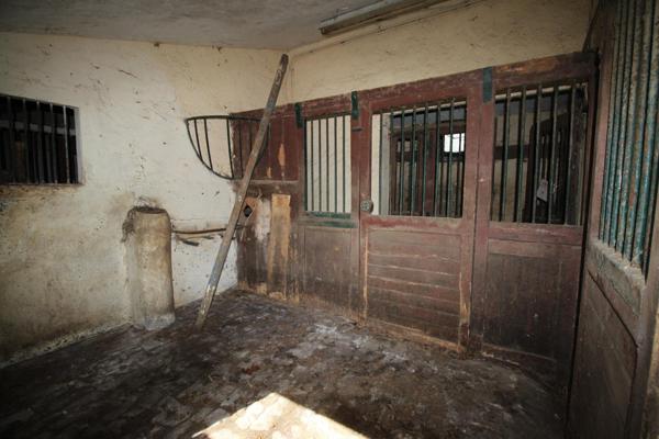 PROPRIETE DE 4.3H - MAISON 6 P 110M² - BOX A CHEVEAUX