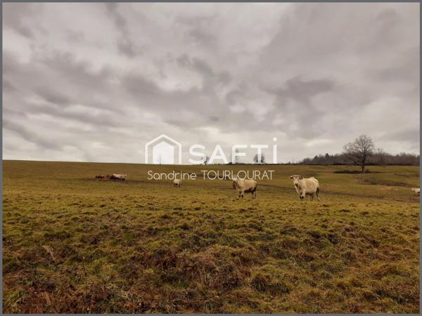 Terres agricoles 7,5 hectares, pâturage