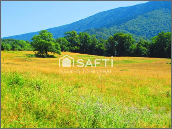 Terres agricoles 7,5 hectares, pâturage