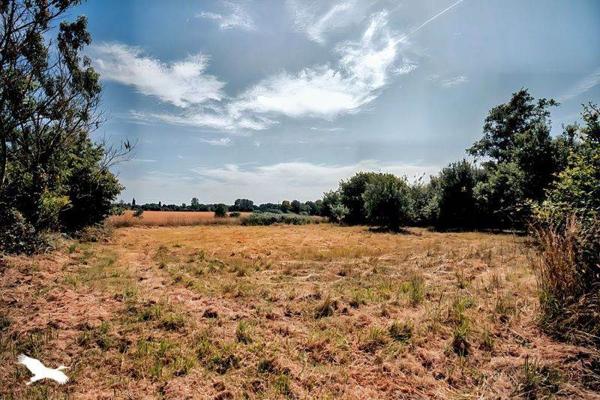 Maison à vendre |  Moëlan-sur-Mer |  5 pièces | 119 m²