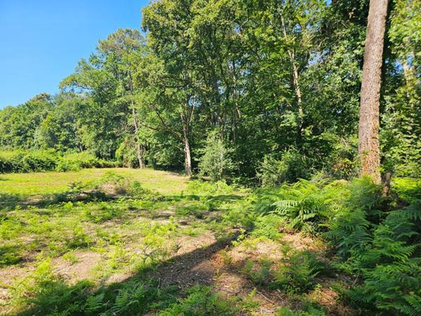 Maison de150 m2 avec 17314m2 terrain