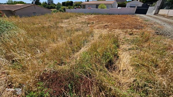 Terrain Champdeniers Saint Denis 319 m2