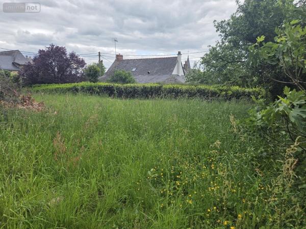 Terrain à Batir à vendre à Saint-Michel-de-Feins en Mayenne (53290), ref : 53073-1687