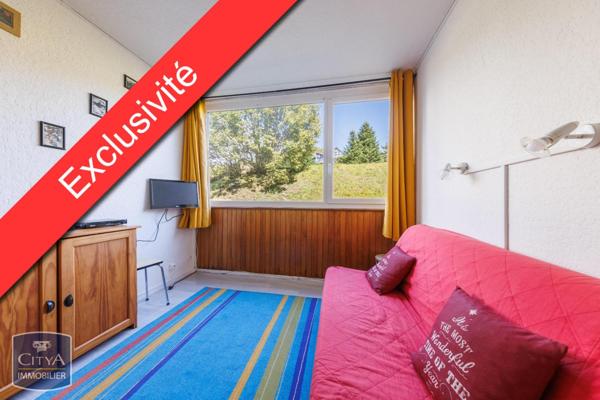 Vente appartement Besse-et-Saint-Anastaise (63610) 2 pièces 29.75m²