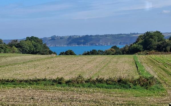 Maison à vendre    3 pièces •  Plestin-les-Grèves