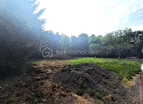 Terrain à bâtir – Orléans Sud – 605 m² – Entièrement viabilisé

À découvrir sans tarder : belle parcelle de terrain à bâtir de 605 m², idéalement située à Orléans Sud, dans un environnement calme et agréable.

Implanté en second rang, ce terrain offre un cadre préservé, à l’abri des nuisances, tout en restant proche des commodités, écoles et axes principaux.

Entièrement viabilisé (eau, électricité, tout-à-l’égout), il est prêt à accueillir votre futur projet de construction.

✔ Superficie : 605 m²
✔ Terrain en second rang
✔ Viabilisé
✔ Environnement calme
✔ Proche des commodités

Une belle opportunité pour concrétiser votre projet de vie dans un secteur recherché.