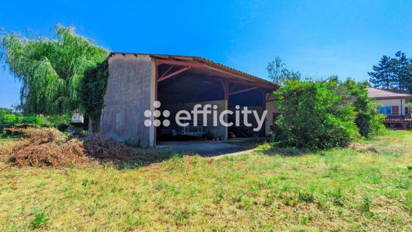 Parking
        
        - 250 m² Exclusivité 55 000 € *