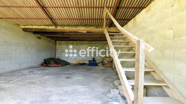 Parking
        
        - 250 m² Exclusivité 55 000 € *