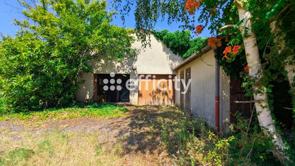 Parking
        
        - 250 m² Exclusivité 55 000 € *