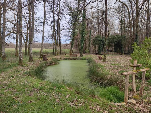 À vendre, terrain à Lamotte-Beuvron.