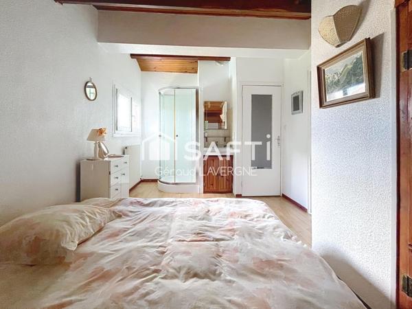 Castelginest: 145 m², piscine, 845 m²