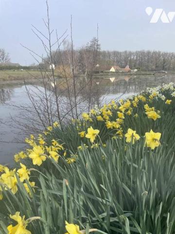Etang