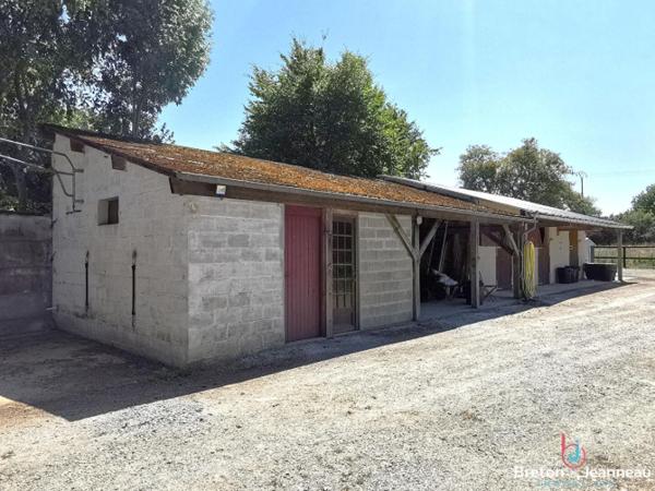 Propriété équestre sur 4 ha à Vimartin-sur-Orthe