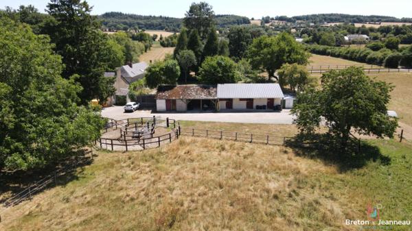 Propriété équestre sur 4 ha à Vimartin-sur-Orthe
