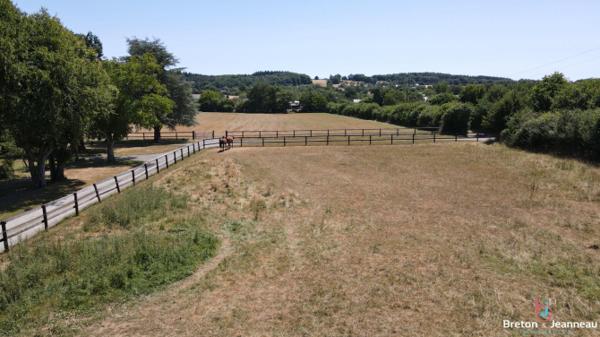 Propriété équestre sur 4 ha à Vimartin-sur-Orthe