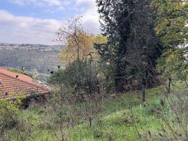 Maison avec grand terrain