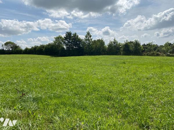 Terrain Pont Hebert 13026 m2