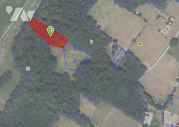 Terrain à vendre Ossun