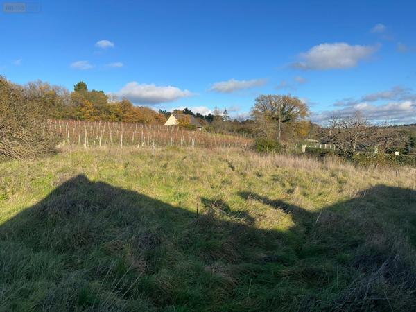 Fermette à vendre à Chinon dans l'Indre-et-Loire (37500), ref : 37049-106