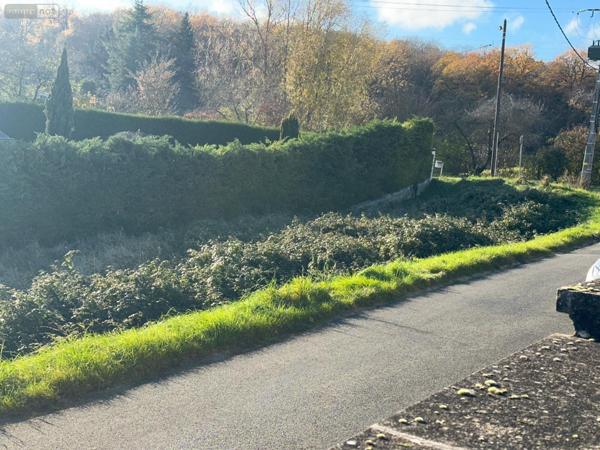 Fermette à vendre à Chinon dans l'Indre-et-Loire (37500), ref : 37049-106