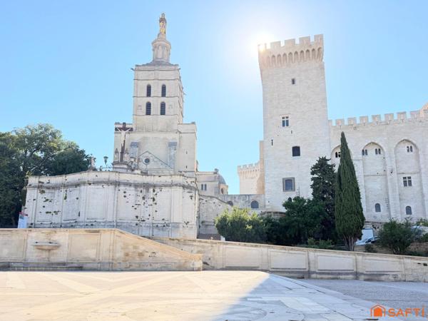 Appartement 130m2, 3 chambres, Palais des papes!