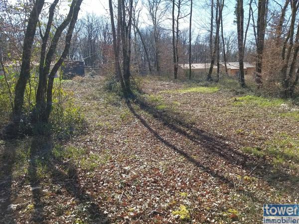 Terrain
