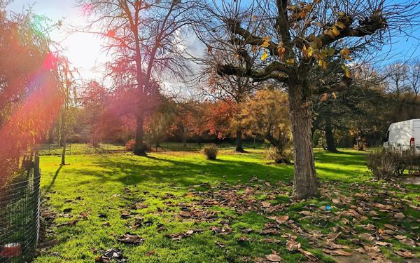 Maison à vendre    3 pièces •  Châtres-sur-Cher