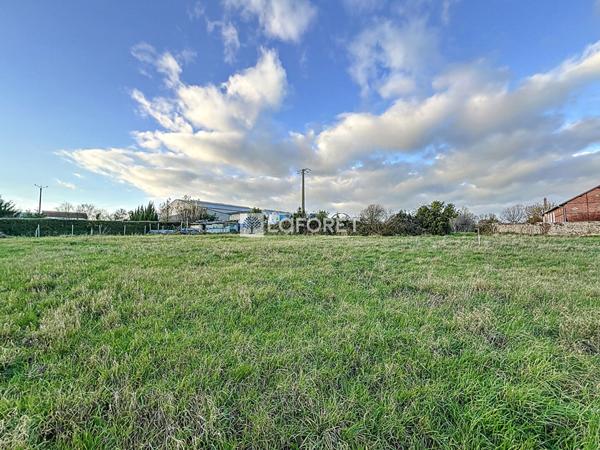 Achat terrain Faye-l'Abbesse - 1814 m² - 32 640 €