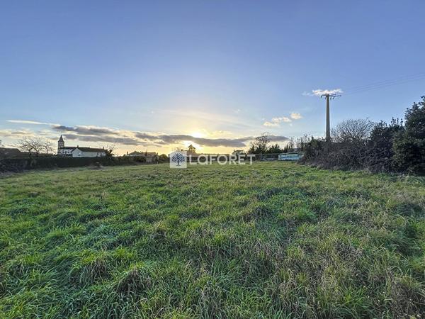 Achat terrain Faye-l'Abbesse - 1814 m² - 32 640 €