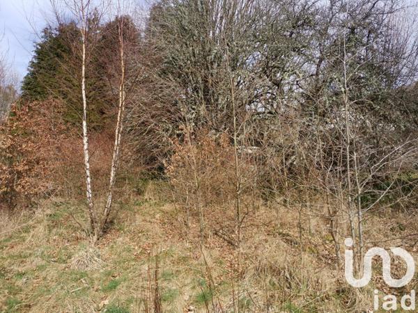 Maison 3 pièces de 52 m² à Peyrelevade (19290)