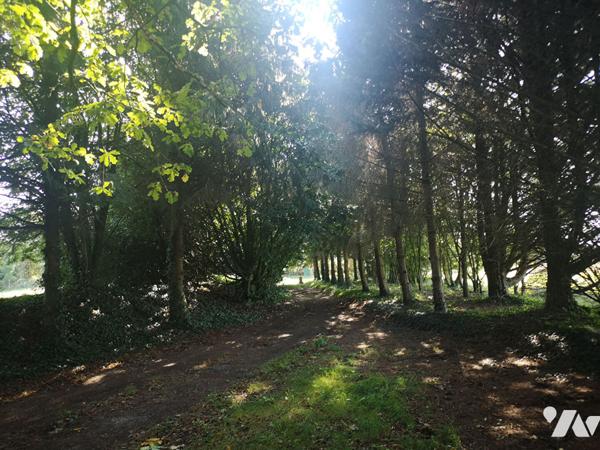 Manoir du XVIIIe siècle sur plus de 12 hectares