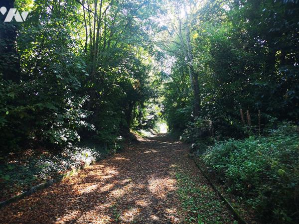 Manoir du XVIIIe siècle sur plus de 12 hectares