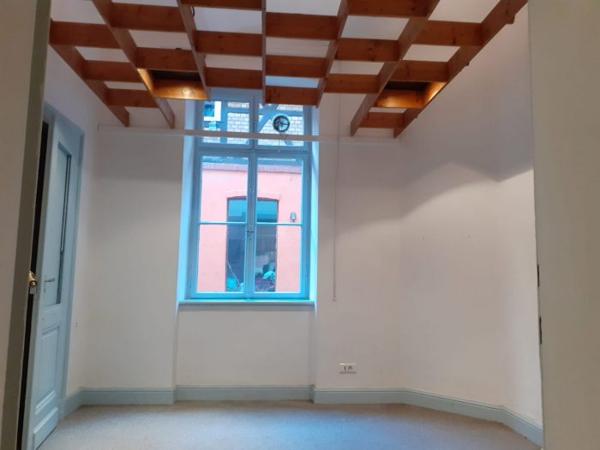Local professionnel Strasbourg 70 m²