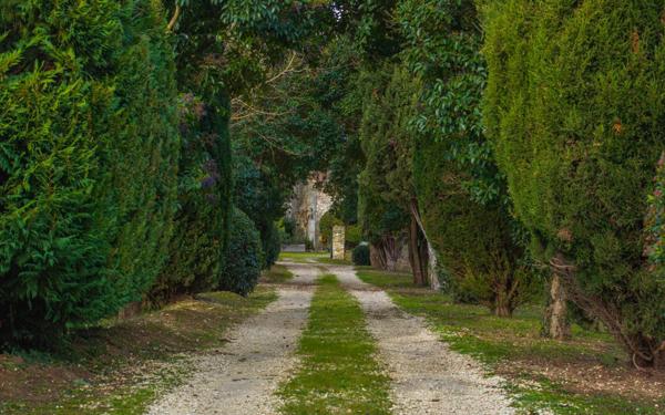 Maison à vendre    21 pièces •  Sainte-Anastasie