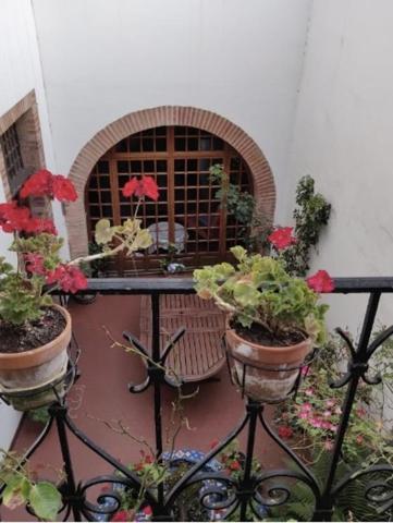 Immeuble-367m2-10 pièces