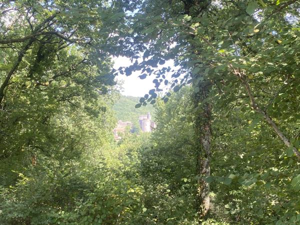 Propriété en pierre d’exception chargée d’histoire avec vues panoramiques sur le Château de Bonaguil