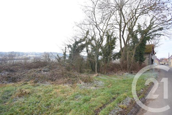 Terrain à vendre  1180 m2 CREUZIER LE VIEUX - 03