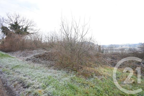 Terrain à vendre  1180 m2 CREUZIER LE VIEUX - 03