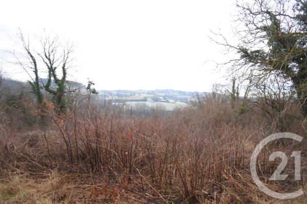 Terrain à vendre  1180 m2 CREUZIER LE VIEUX - 03