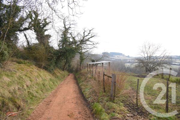 Terrain à vendre  1180 m2 CREUZIER LE VIEUX - 03