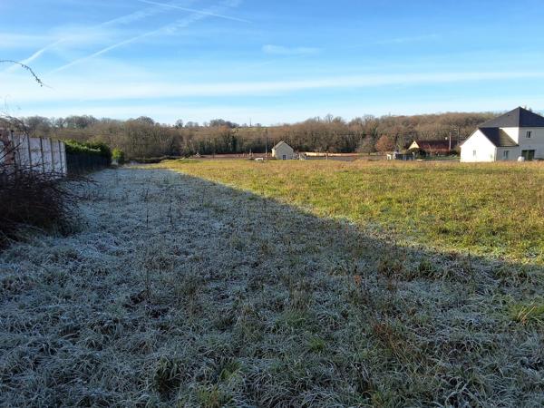 Terrain constructible à LE BLANC (36300)