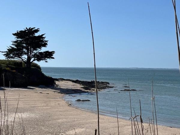 Rare à la vente! Belle propriété à 500m de la mer