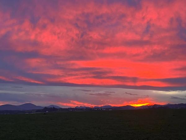 Vente Maison 6 pièces 215 m2 à Saint-Palais