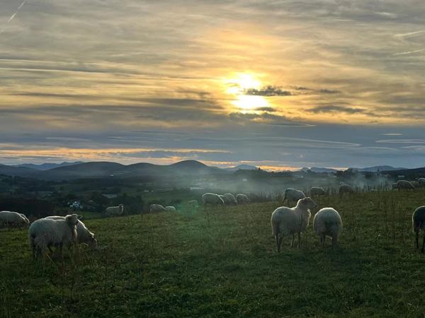 Vente Maison 6 pièces 215 m2 à Saint-Palais
