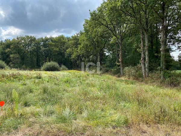 Dépendances à réhabiliter - 98 m2