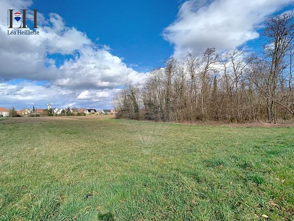 Terrain  en vente - Haut-Rhin - 68