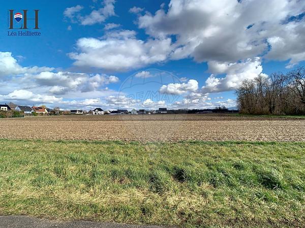 Terrain  en vente - Haut-Rhin - 68