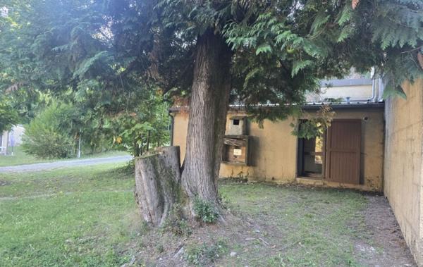 Vente Maison Ensemble de 4 gites Saint-etienne-vallee-francaise   