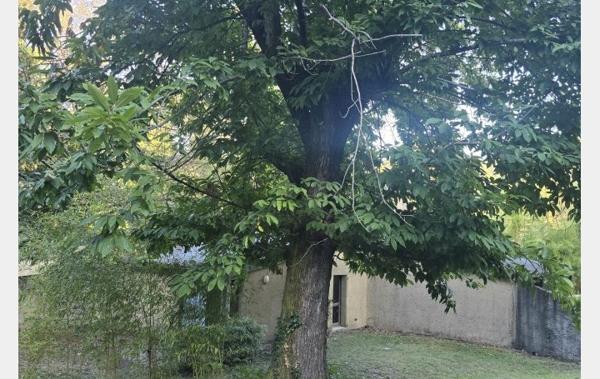 Vente Maison Ensemble de 4 gites Saint-etienne-vallee-francaise   