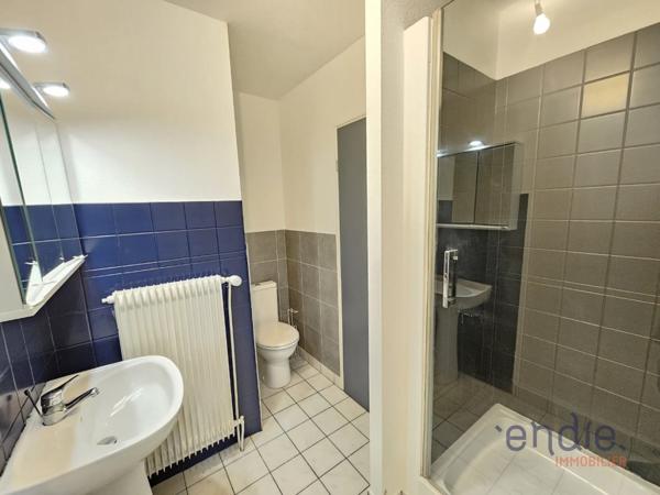 BELFORT – T3 EN REZ-DE-CHAUSSÉE AVEC CAVE